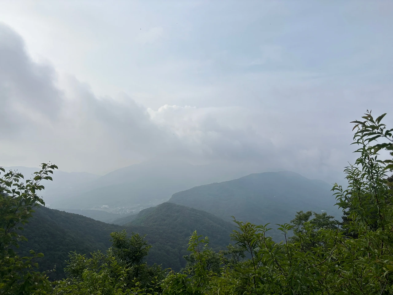 KakaoTalk_Photo_2025-06-08-20-57-33 009.jpeg