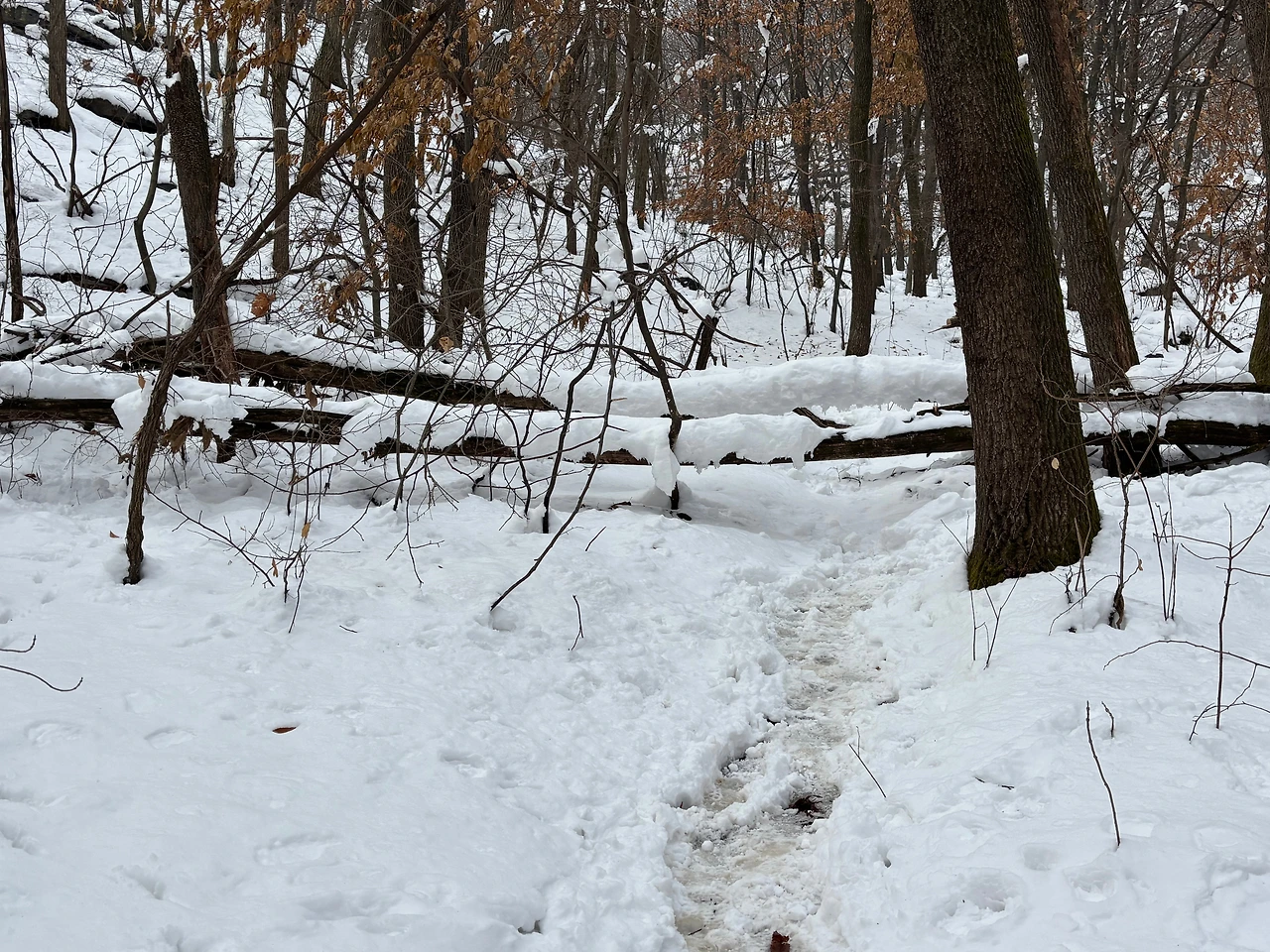 KakaoTalk_Photo_2025-02-02-20-06-07 005.jpeg