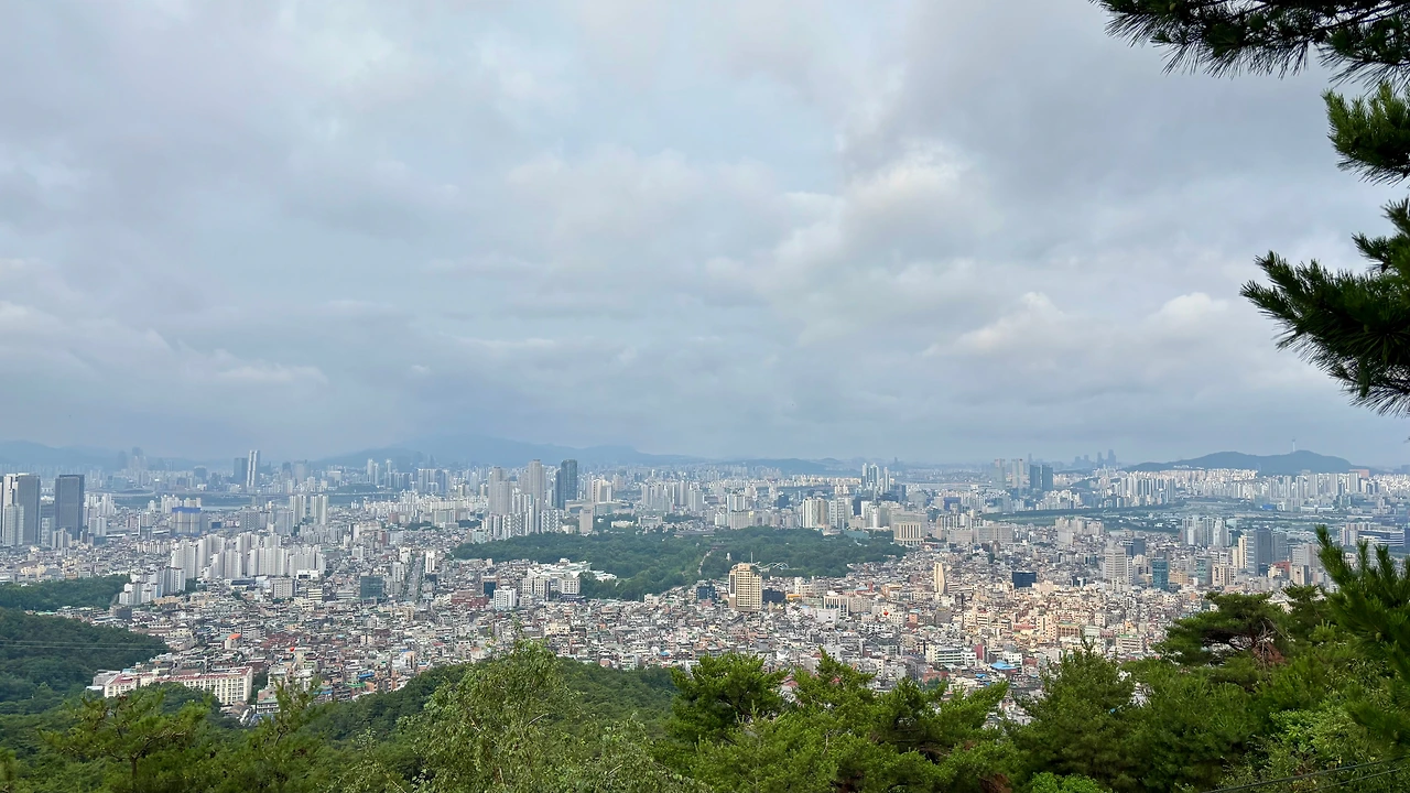 KakaoTalk_Photo_2025-07-07-11-49-18 014.jpeg