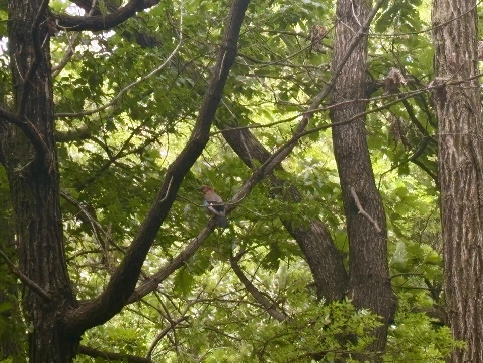 KakaoTalk_Photo_2025-05-25-11-22-02 001.jpeg