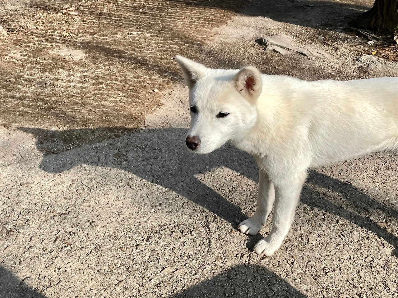 KakaoTalk_Photo_2023-11-16-14-06-43 001.jpeg