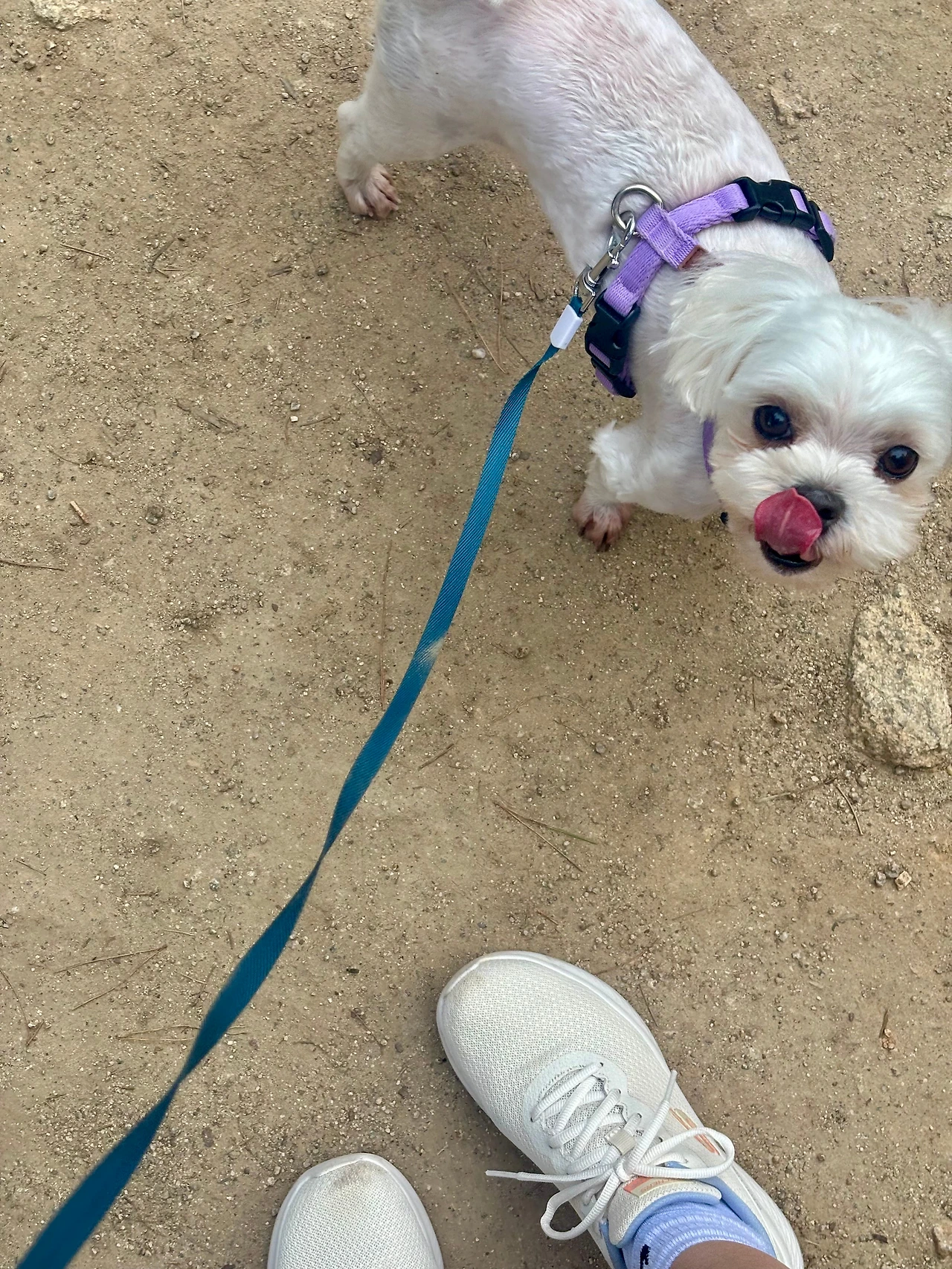 KakaoTalk_Photo_2025-07-07-11-49-12 012.jpeg