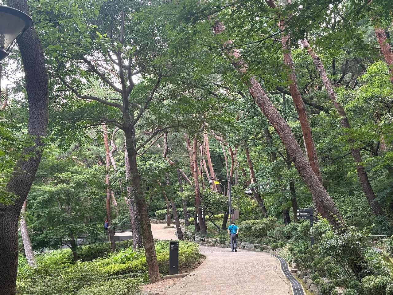 KakaoTalk_Photo_2025-07-07-11-49-06 009.jpeg