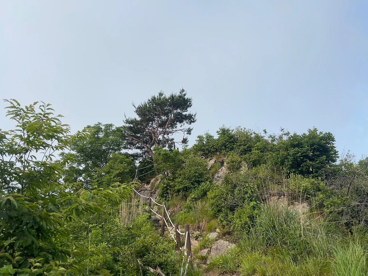 KakaoTalk_Photo_2025-06-08-20-57-33 008.jpeg