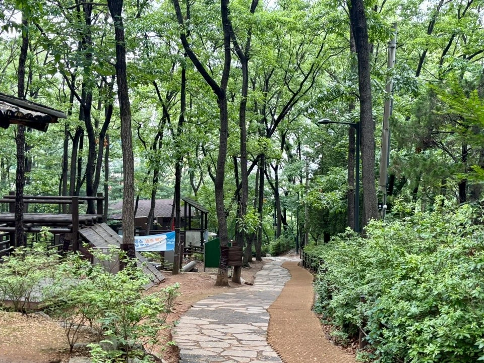 KakaoTalk_Photo_2025-05-25-11-22-06 012.jpeg