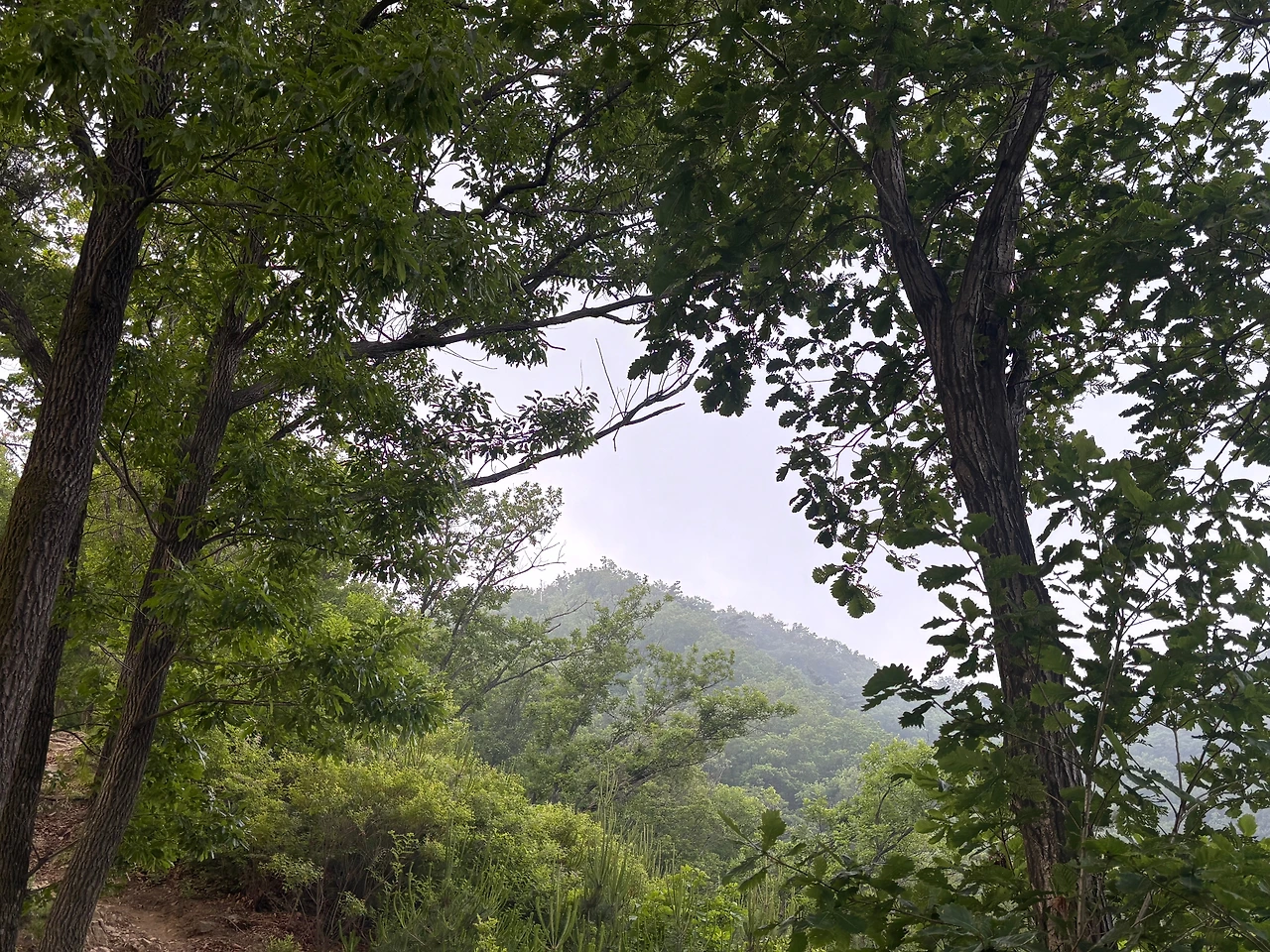 KakaoTalk_Photo_2025-06-08-20-57-33 006.jpeg