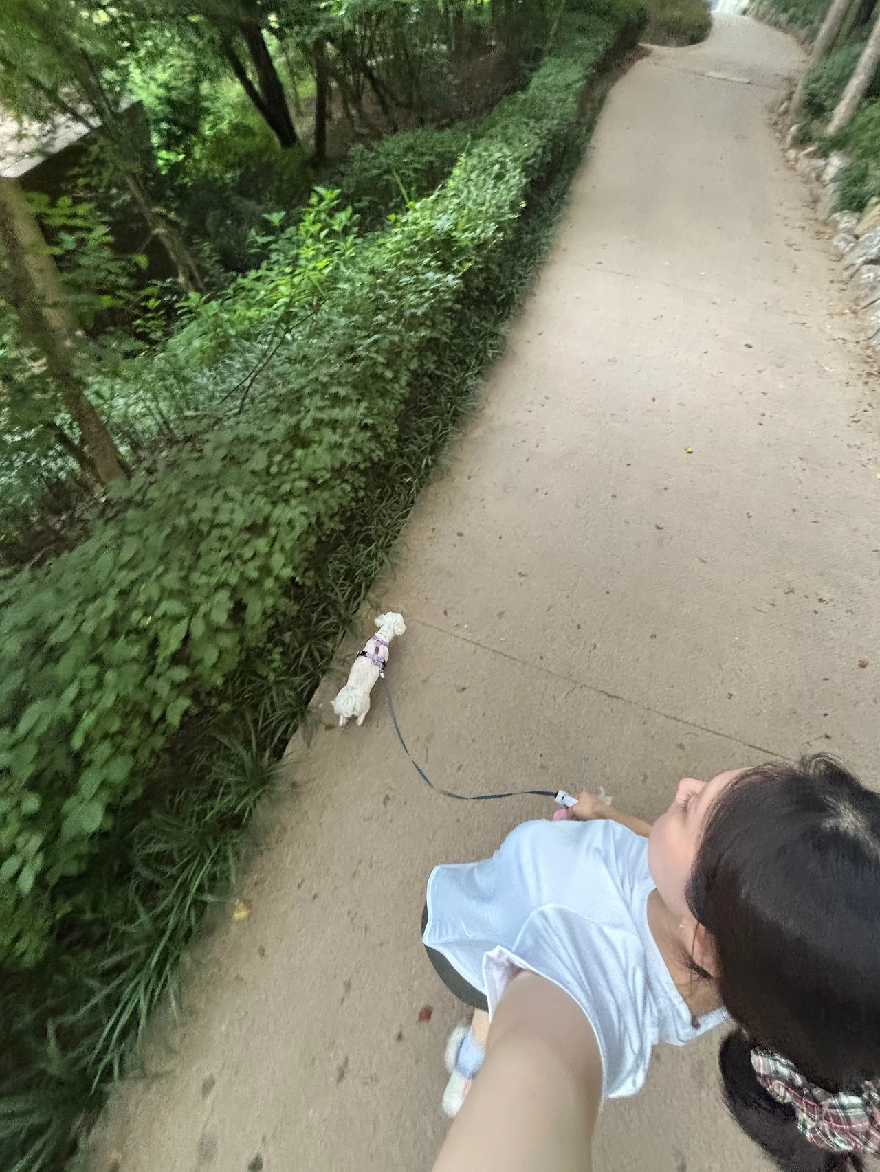 KakaoTalk_Photo_2025-07-07-11-48-52 003.jpeg