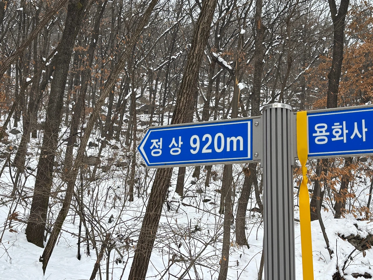 KakaoTalk_Photo_2025-02-02-20-06-06 004.jpeg