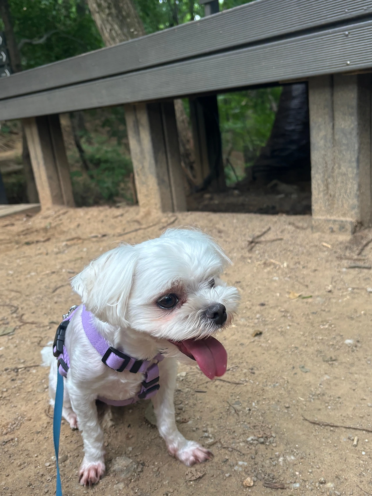 KakaoTalk_Photo_2025-07-07-11-49-07 010.jpeg