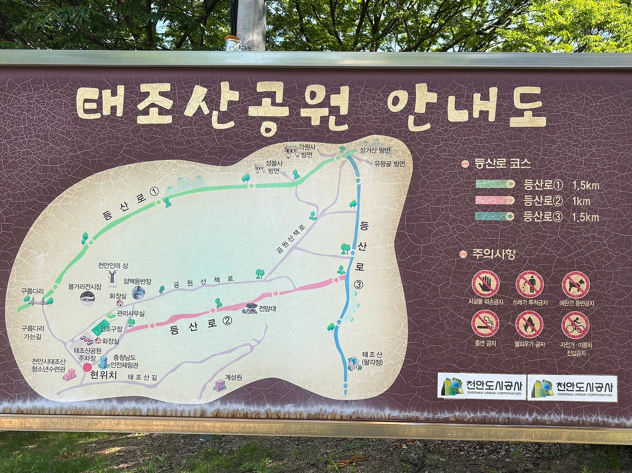 KakaoTalk_Photo_2025-06-02-12-11-00 003.jpeg