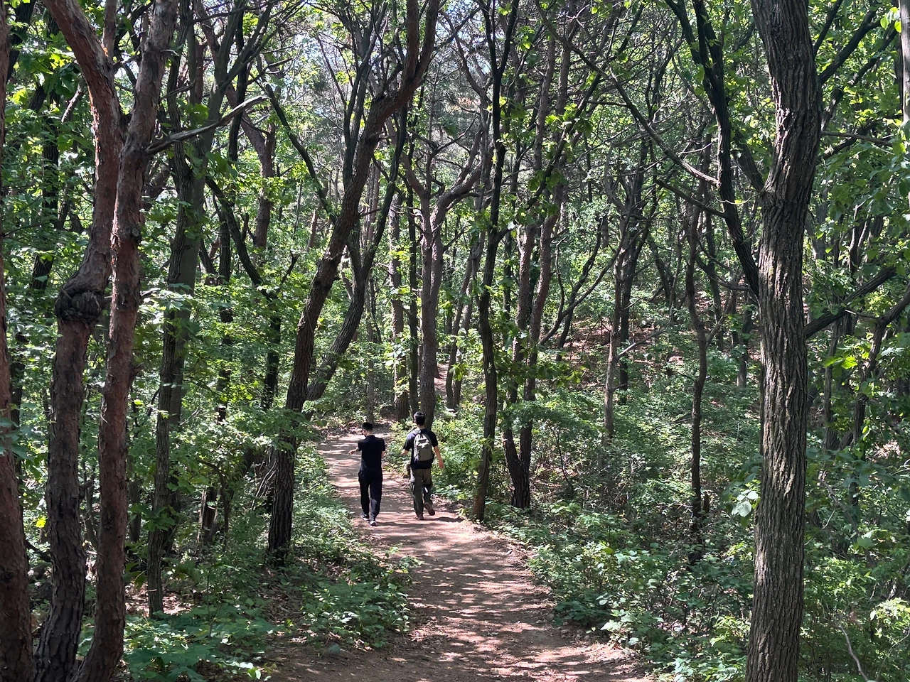 KakaoTalk_Photo_2025-06-02-12-11-27 012.jpeg