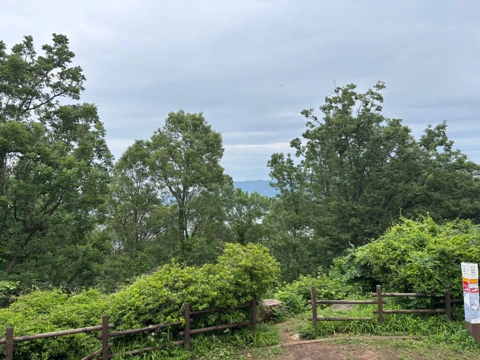 KakaoTalk_Photo_2025-05-25-11-22-05 009.jpeg