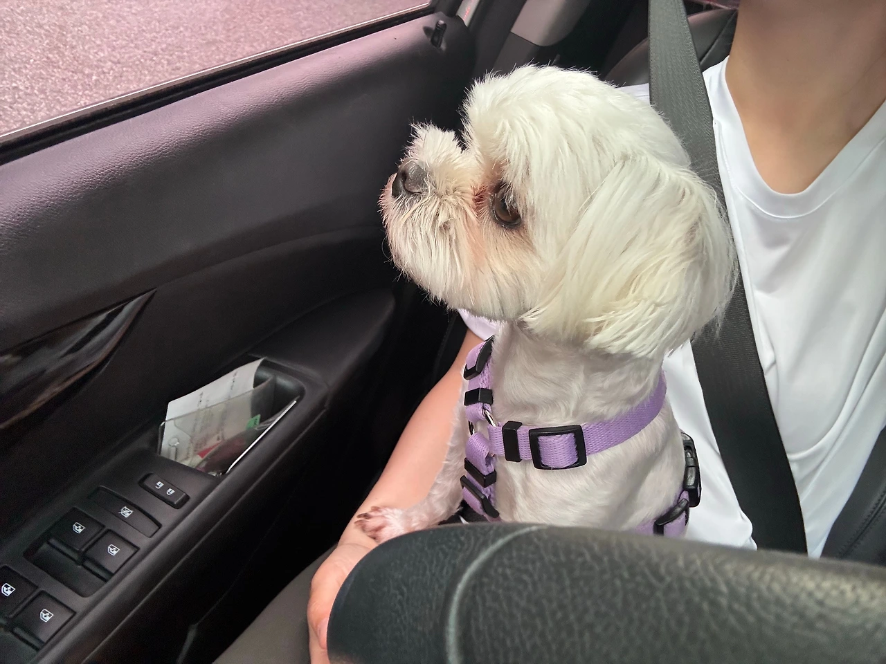 KakaoTalk_Photo_2025-07-07-11-48-47 001.jpeg