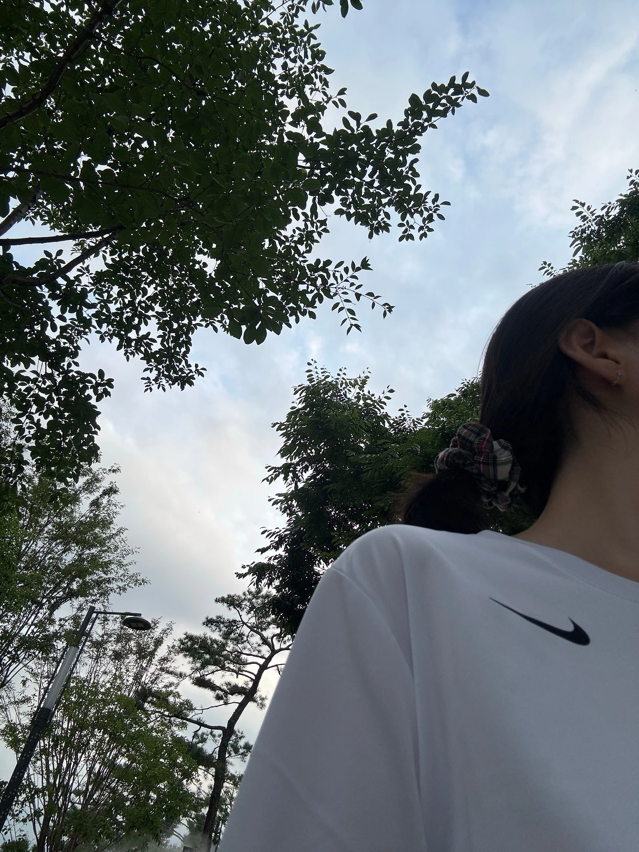 KakaoTalk_Photo_2025-07-07-11-48-55 005.jpeg