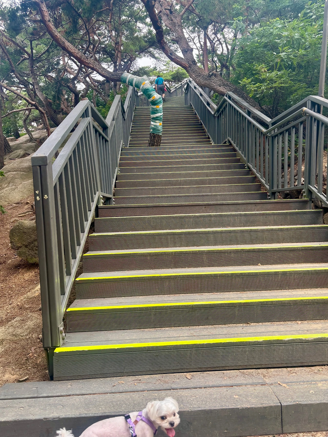 KakaoTalk_Photo_2025-07-07-11-49-10 011.jpeg