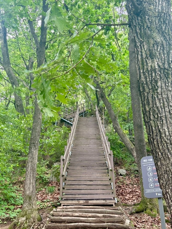 KakaoTalk_Photo_2025-05-25-11-22-03 002.jpeg