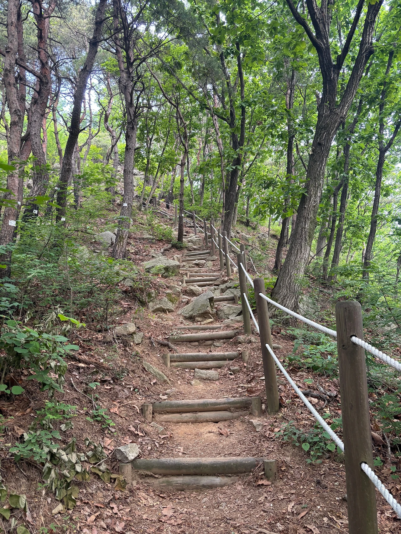 KakaoTalk_Photo_2025-06-08-20-57-32 004.jpeg