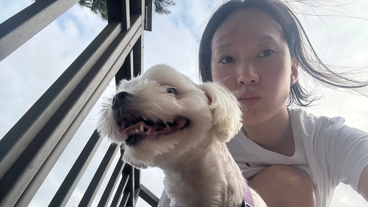 KakaoTalk_Photo_2025-07-07-11-49-21 017.jpeg