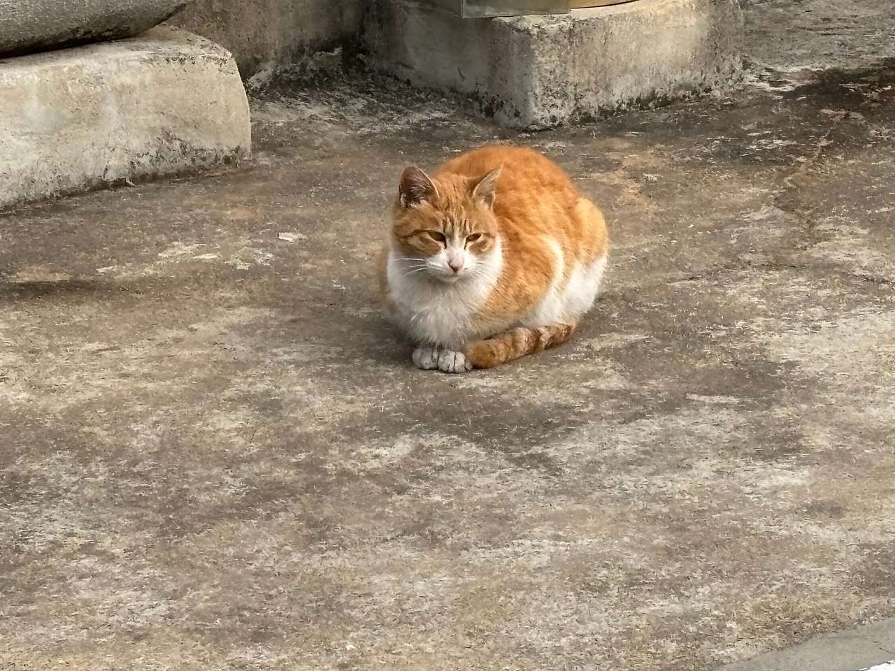 KakaoTalk_Photo_2025-02-02-20-06-08 009.jpeg