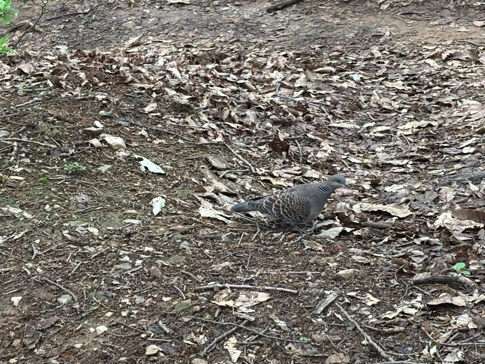 KakaoTalk_Photo_2025-05-25-11-22-05 010.jpeg