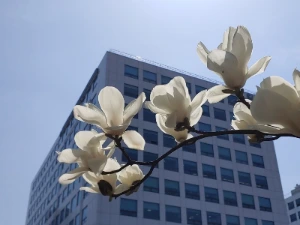 KakaoTalk_20220416_202743433_11.jpg?type=w966