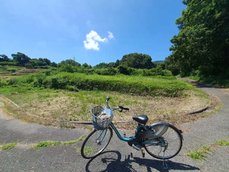 20230726_104246_(1).jpg?type=w1