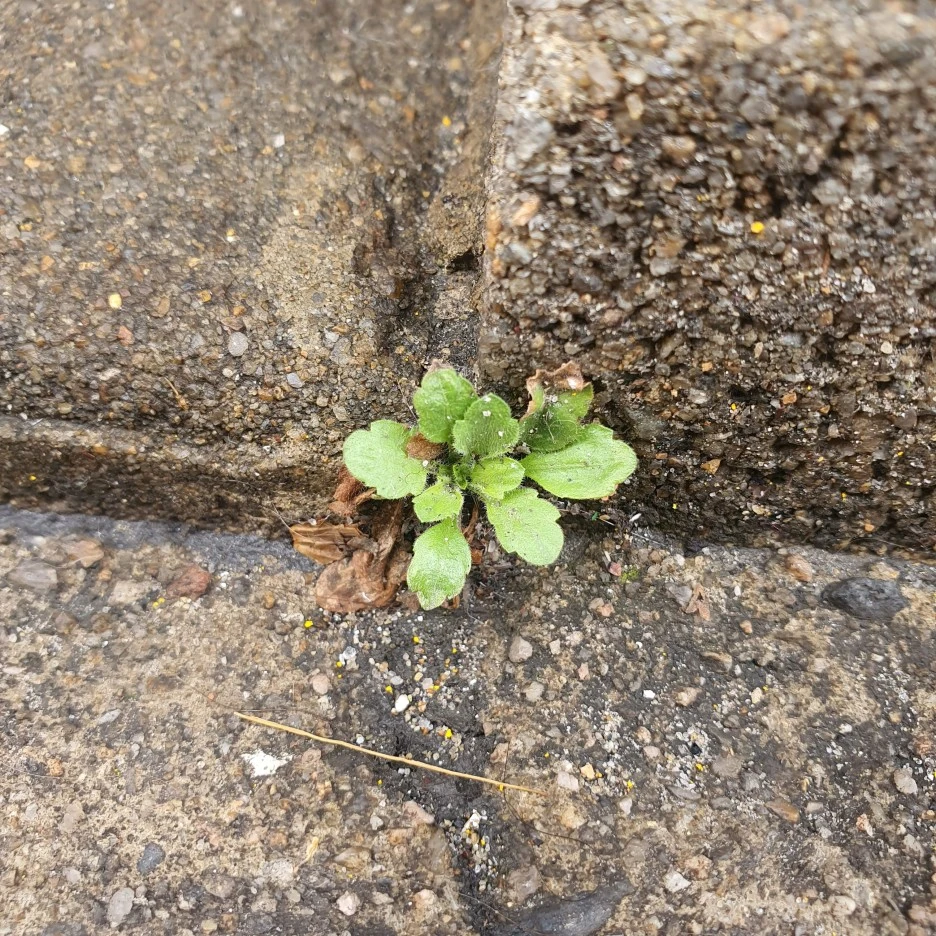 IMG_20230328_160418_890.jpg?type=w1