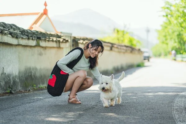 다운로드 (2).jfif