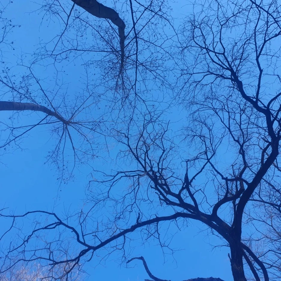 IMG_20231114_130802_162.jpg?type=w1