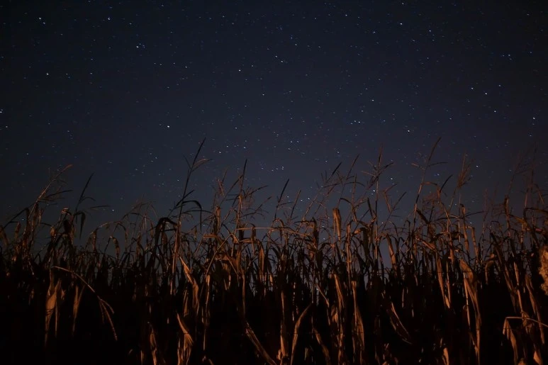 photo-1544516599-ef4036c8c2fb.jpg?type=w1