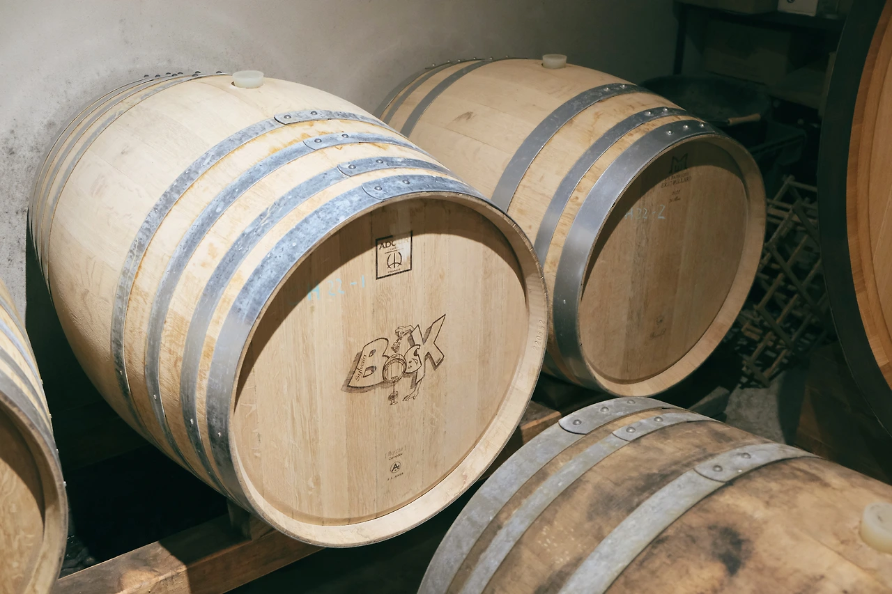 Rhone_Sylvain Bock 7.JPG