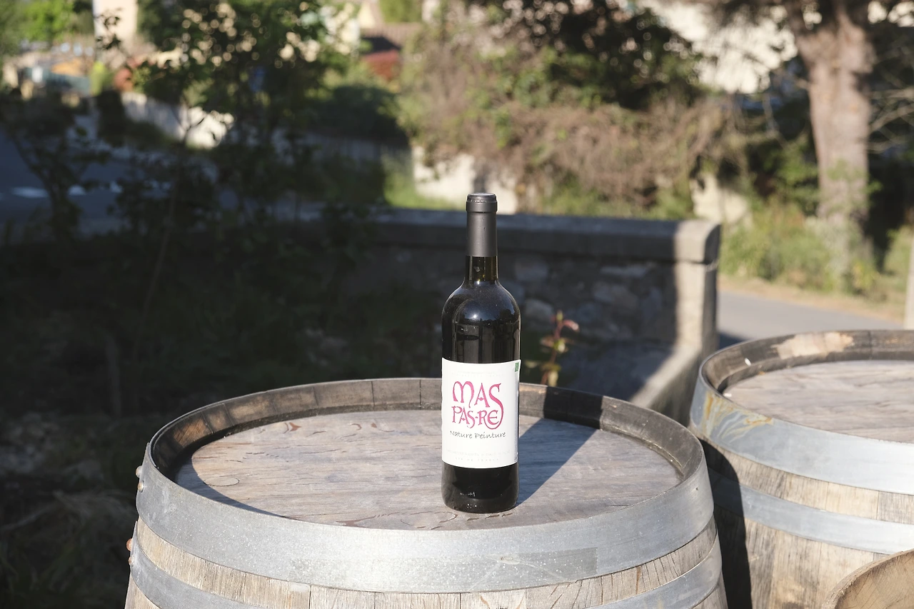 Languedoc_Mas pas res 3.JPG