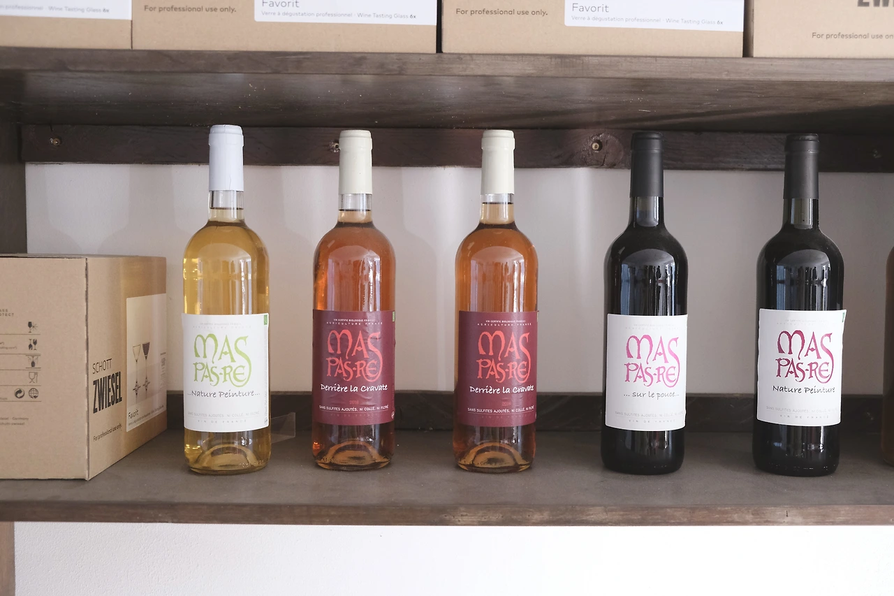 Languedoc_Mas pas res 8.JPG