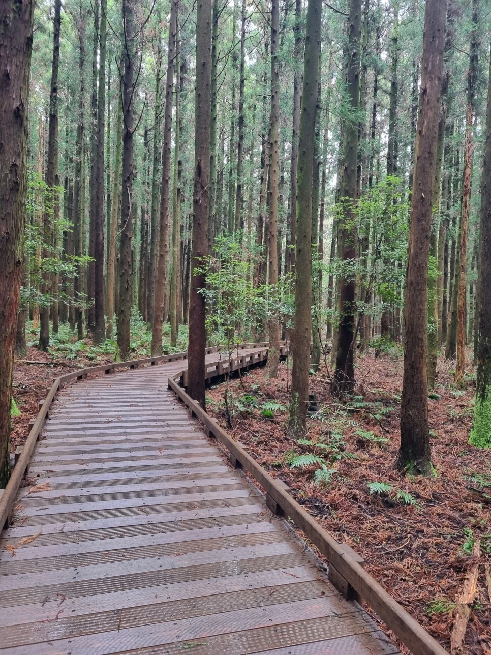 20231213_120115.jpg?type=w966