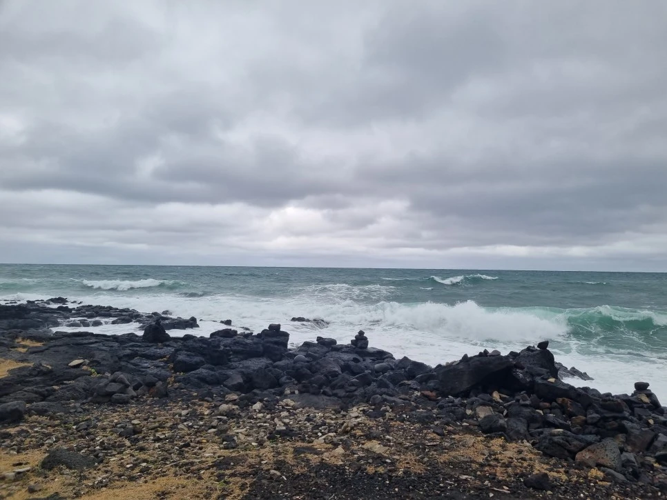 20231212_111059.jpg?type=w966