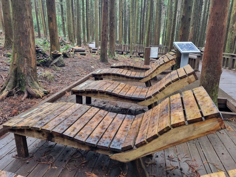 20231213_114737.jpg?type=w966