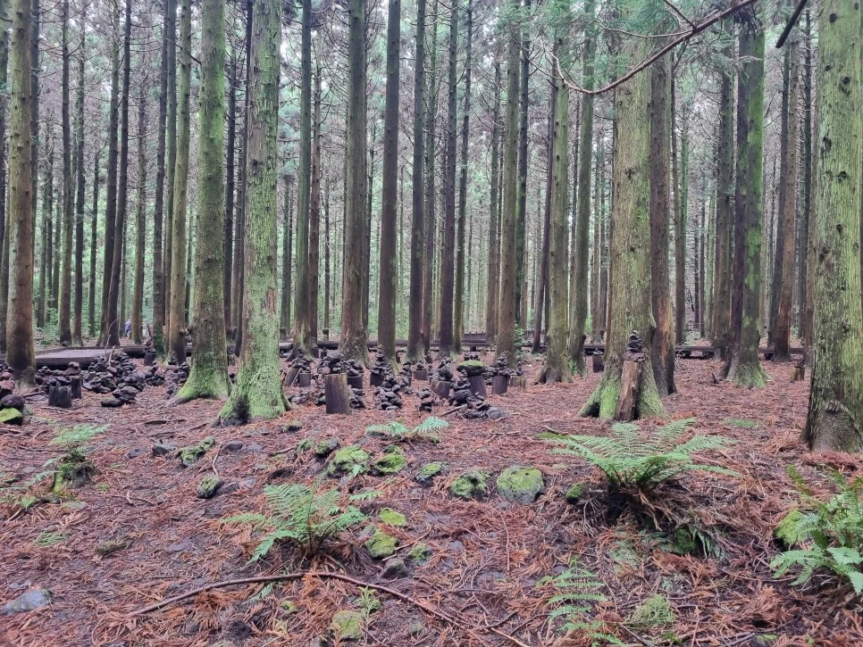 20231213_114602.jpg?type=w966