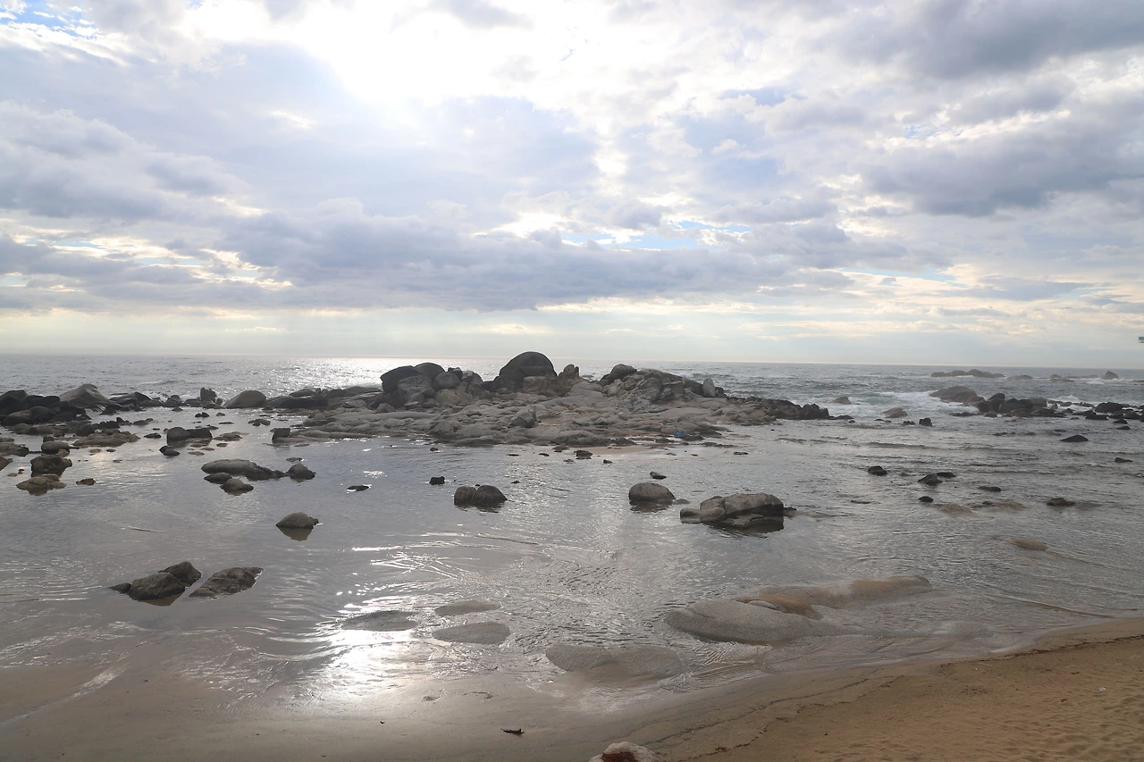 20230704185219_IMG_1400 (1).JPG