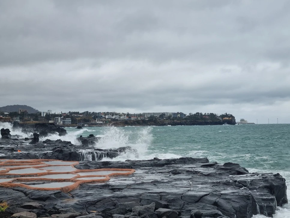 20231212_105457.jpg?type=w966