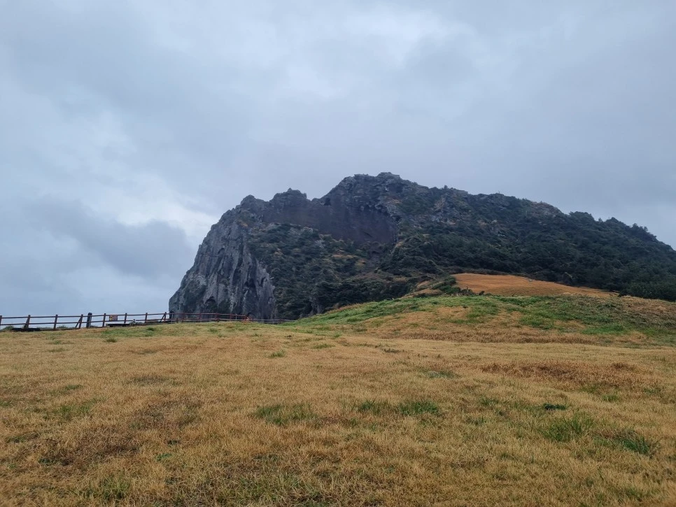 20231214_145936.jpg?type=w966