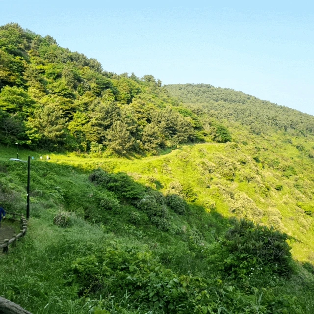 20230514%EF%BC%BF074617.gif?type=w773