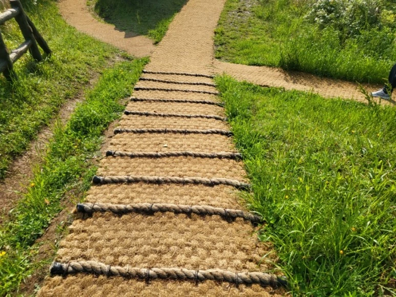 20230514%EF%BC%BF075148.jpg?type=w773