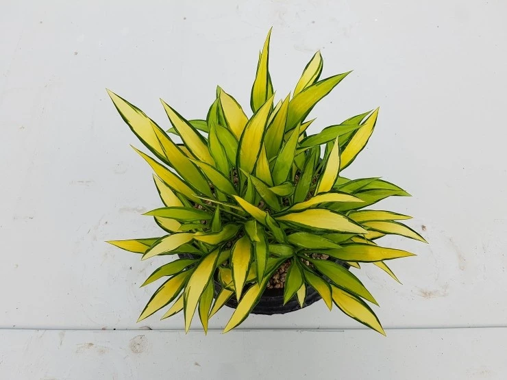 20200522_082328.jpg?type=w2