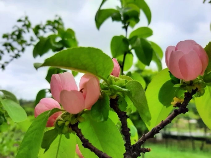 ?src=http%3A%2F%2Fblogfiles.naver.net%2FMjAyMjA1MDJfMjUg%2FMDAxNjUxNDQ4NTQ5NTA4.ysNd4kkshqKKdDQ3H280BmLJpDLUgnhZM2bN0eZanI8g.thQNix3uzJBcSCvytnVtBe2Gb9AAwaVxIDA3u5CIQc4g.JPEG.ykj010579%2F20220429%25A3%25DF160552.jpg&type=sc960_832