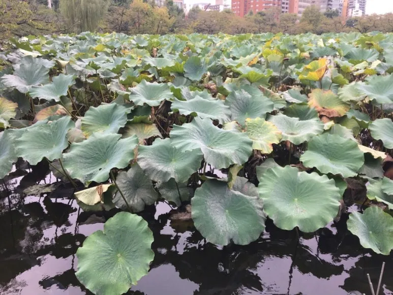 IMG_0160.jpg?type=w773