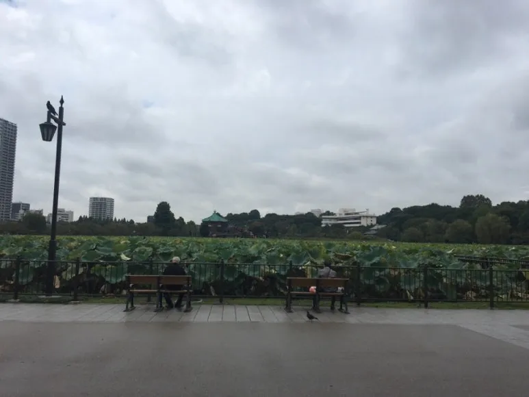 IMG_0166.jpg?type=w773