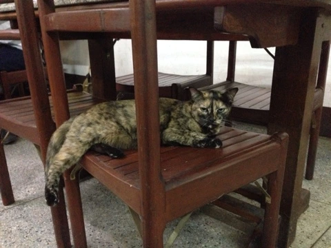 NaverBlog_20141116_170624_03.jpg?type=w2