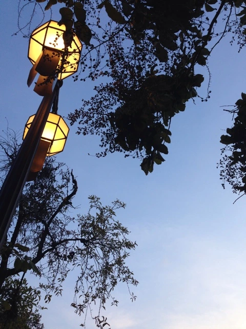 NaverBlog_20141120_195128_00.jpg?type=w2