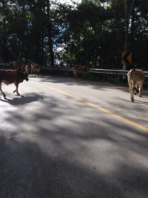 NaverBlog_20141111_191549_00.jpg?type=w2