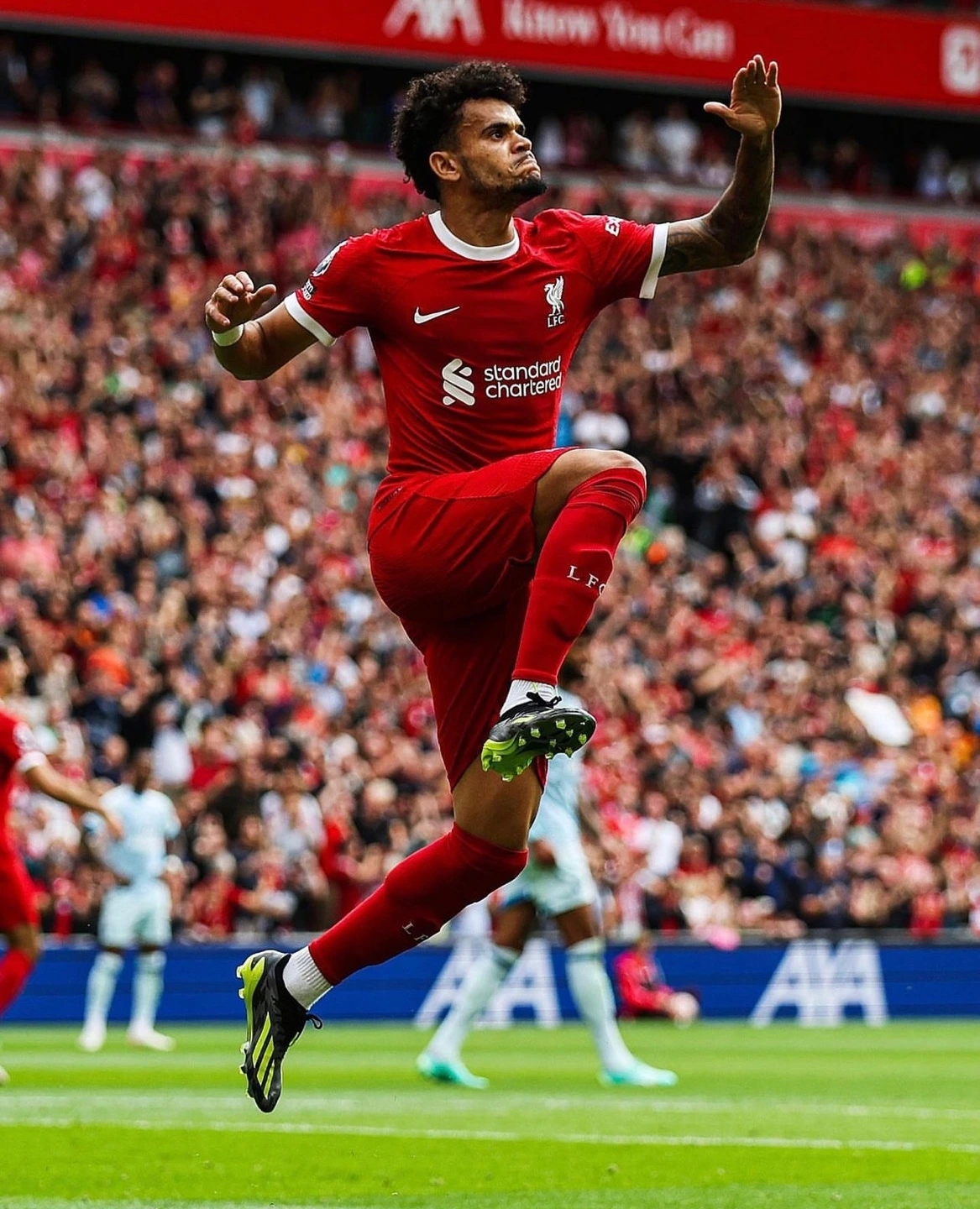 KakaoTalk_Photo_2023-08-24-14-32-00 007.jpeg